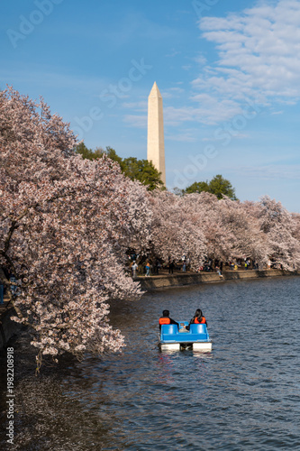 Tableau sur toile Paddleboat on Tidal Basin with Washington Monument in Spring Washington DC