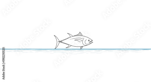 Fish Swimming Under Water Surface.