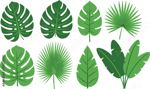 Diverse collection of tropical and decorative houseplant leaves Vector