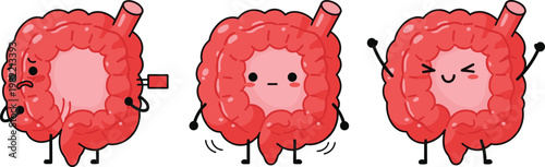 Cute Intestine Cartoon Character Set with Different Emotions Digestive System Organ Illustration Collection for Medical Education and Health Design