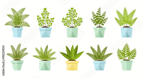 Colorful tulip bouquets in flat design style, perfect for spring and floral themes.