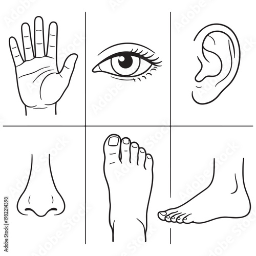 Black and white line of human body parts in a grid hand nose foot