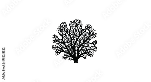 Coral structure displays intricate branching patterns in a stark black and white graphic illustration.