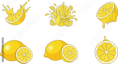 Modern House Exterior with Windows Door and Garden Plants Residential Building Facade Illustration Set for Real Estate and Architecture Design