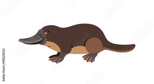 Cartoon platypus illustration on white background