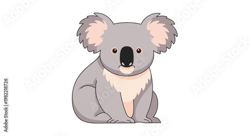 Cartoon koala illustration sitting facing forward