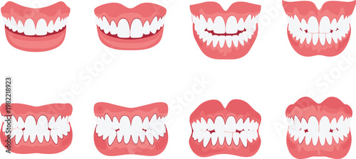 Set of human teeth and gums, dental anatomy collection, different mouth positions, oral healthcare concept, medical vector illustration isolated