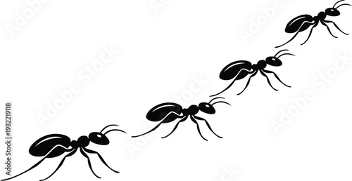 Ants forming curved trail silhouette vector