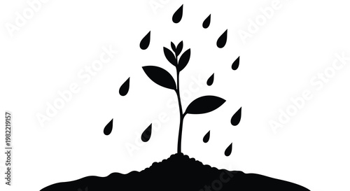 A small plant sprout emerges from soil being watered by falling raindrops