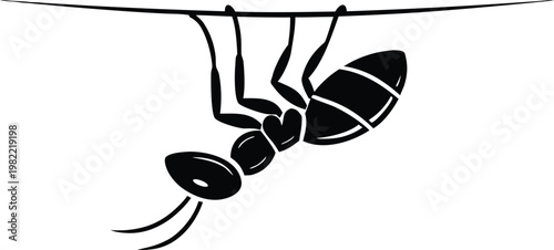 Ant hanging upside down silhouette detailed vector