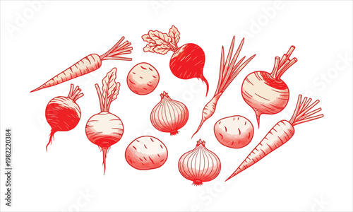 Hand-Drawn Sketch of Root Vegetables and Onions in Red Outline on White