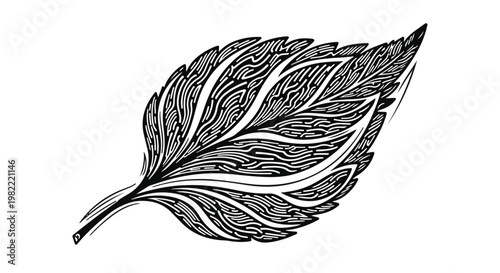 Leaf graphic with detailed interior patterns provides a botanical design element on a white surface.