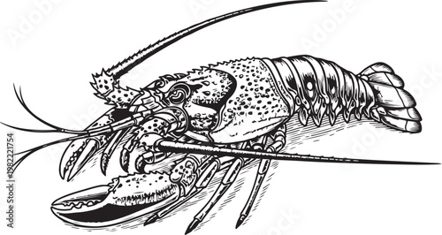 World War I soldier, hand drawn simple sketch vector illustration