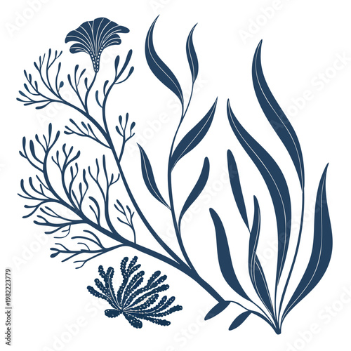 Dark blue botanical illustration of various seaweed and algae forms with sea life underwater botanical illustration branching vegetation
