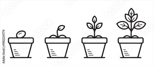 Plant Growth Stages in Potted Containers, from Seed to Seedling, Simple Flat Design Vector Illustration.