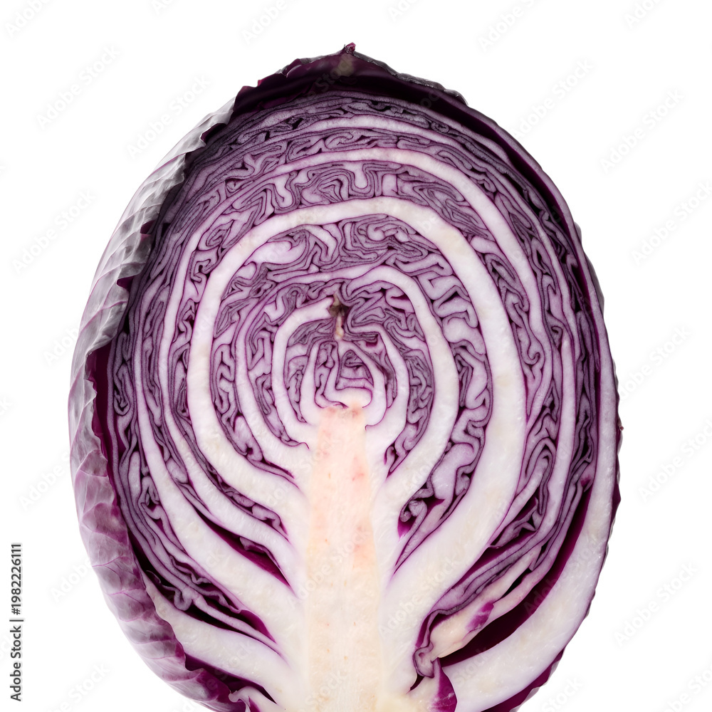 Obraz premium Half of Fresh Raw Red Cabbage Isolated on White Background