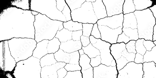  grunge texture of a cracked, weathered concrete wall in black and white monochrome. surface features intricate fracture patterns spreading organically across aged plaster.