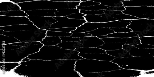  grunge texture of a cracked, weathered concrete wall in black and white monochrome. surface features intricate fracture patterns spreading organically across aged plaster.