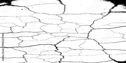  grunge texture of a cracked, weathered concrete wall in black and white monochrome. surface features intricate fracture patterns spreading organically across aged plaster.