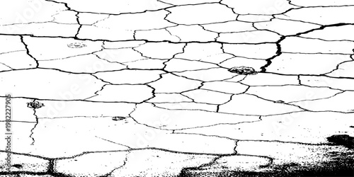  grunge texture of a cracked, weathered concrete wall in black and white monochrome. surface features intricate fracture patterns spreading organically across aged plaster.