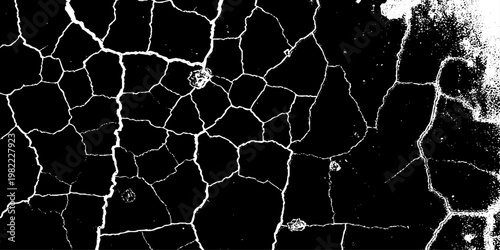  grunge texture of a cracked, weathered concrete wall in black and white monochrome. surface features intricate fracture patterns spreading organically across aged plaster.