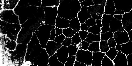  grunge texture of a cracked, weathered concrete wall in black and white monochrome. surface features intricate fracture patterns spreading organically across aged plaster.