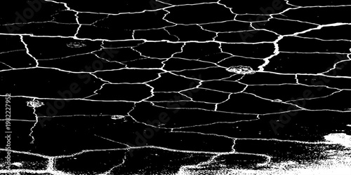  grunge texture of a cracked, weathered concrete wall in black and white monochrome. surface features intricate fracture patterns spreading organically across aged plaster.