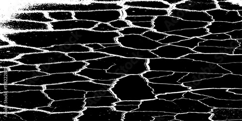  grunge texture of a cracked, weathered concrete wall in black and white monochrome. surface features intricate fracture patterns spreading organically across aged plaster.
