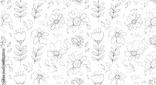 Fotografie Black and white hand drawn floral pattern with daisies and leaves