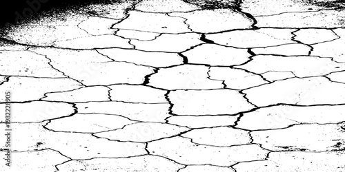  grunge texture of a cracked, weathered concrete wall in black and white monochrome. surface features intricate fracture patterns spreading organically across aged plaster.