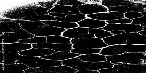  grunge texture of a cracked, weathered concrete wall in black and white monochrome. surface features intricate fracture patterns spreading organically across aged plaster.