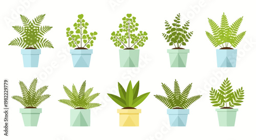 Colorful tulip bouquets in flat design style, perfect for spring and floral themes.