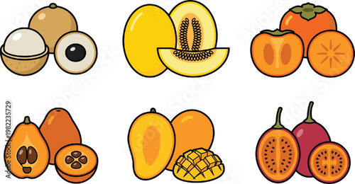 Tropical Fruit Vector Set with Sapodilla, Melon, Persimmon, Papaya, Mango, and Tamarillo Showing Whole Fruits, Halves, and Slices in Cartoon Style Illustration