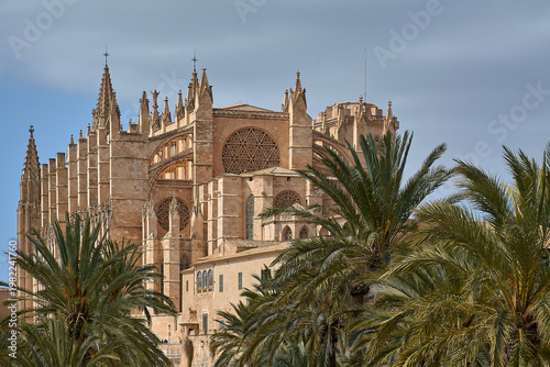 Exterior view of the Cathedral of Mallorca surrounded by tropical greenery. Medieval architecture and large rose windows define this iconic monument of the Balearic capital for tourism.