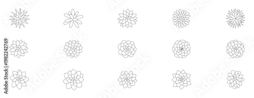 Set of hand drawn succulent plants, top view, vector illustration collection of various cactus and succulent shapes for design elements