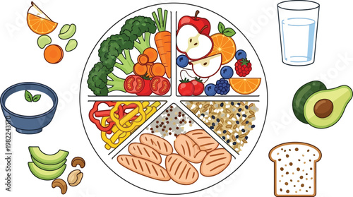 Visual guide to a balanced diet with food groups and hydration illustration Vector