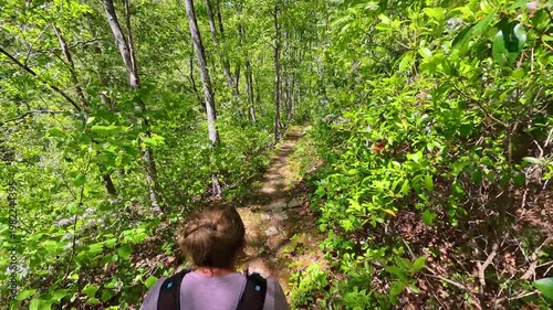 Overhead of Woman Hiking Through Green Forest in Shenandoah National Park
