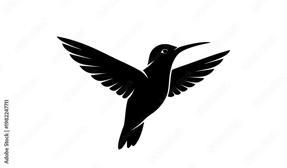 Fototapeta premium Black and White Hummingbird Silhouette Vector Illustration Flying Isolated on White Background