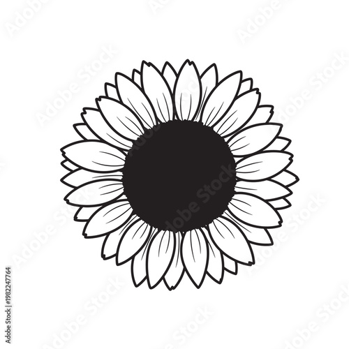 Black and white sunflower illustration with large petals