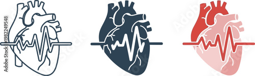 Anatomical heart illustrations a tripartite depiction of cardiac structure in varied color schemes