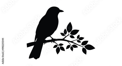 A bird perched on a branch a striking black shape silhouette