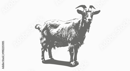 Goat Standing For Animal Concepts