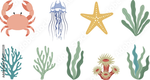 Diverse marine life and underwater flora illustrations Vector