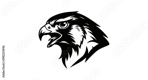 Bold monochrome illustration of a falcon head on a white background