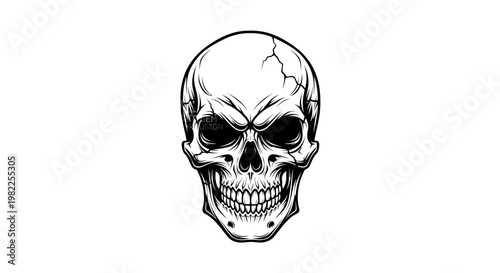 Detailed skull illustration with intense gaze on a clean white background
