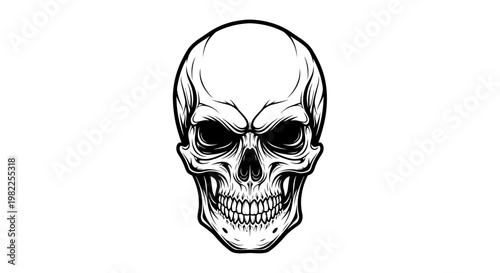 Detailed skull illustration with intense stare against a clean white background