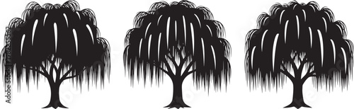 Weeping willow tree silhouette icon set