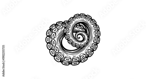 Intricate black and white octopus tentacle illustration on white background