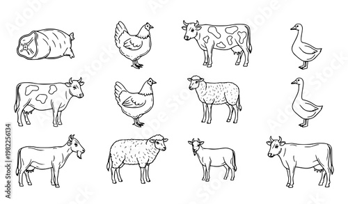 A set of farm animal illustrations including cows, chickens, and ducks in a simple line art style