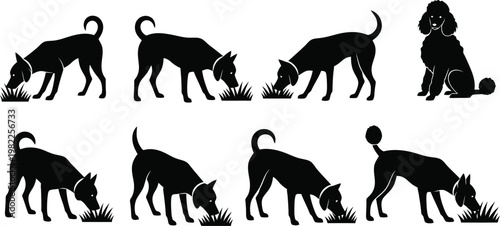 Black silhouette vector illustration featuring various dog breeds sniffing grass in different standing poses